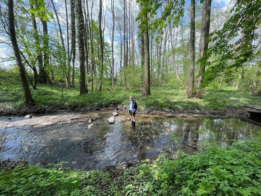 Wassermuehle Triglitz - Alleinlage Fuer Retreats, Workshops, Family & Friends Exterior foto